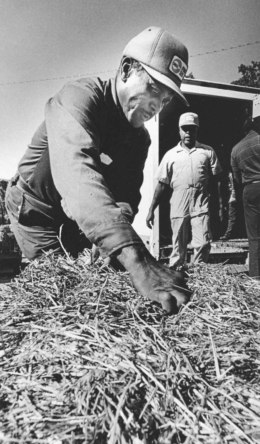 1988: Summer drought